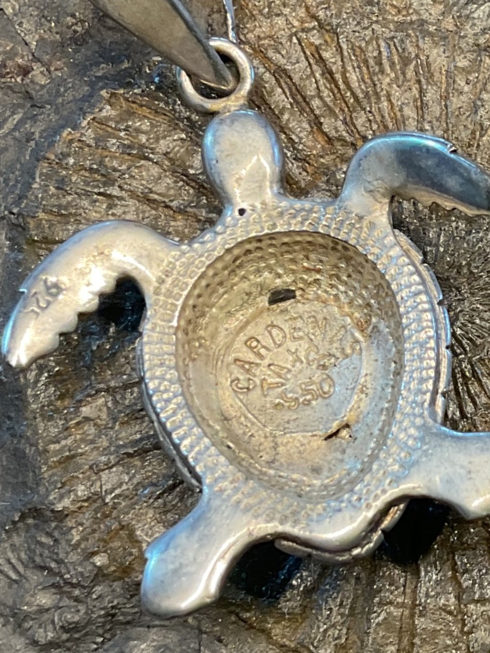Taxco turtle - Picture 3 of 3